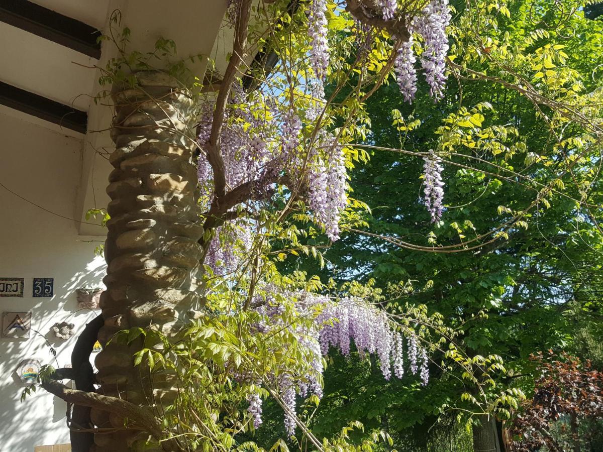 La Meridiana House Monterenzio Eksteriør bilde